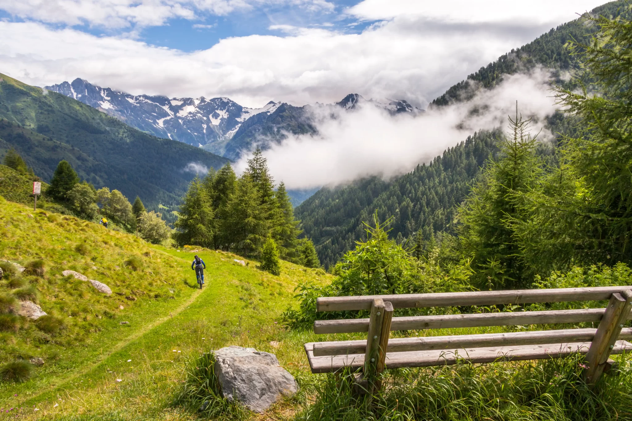 Ciclista su un sentiero di montagna con vista panoramica sulle Alpi e panchina di legno.