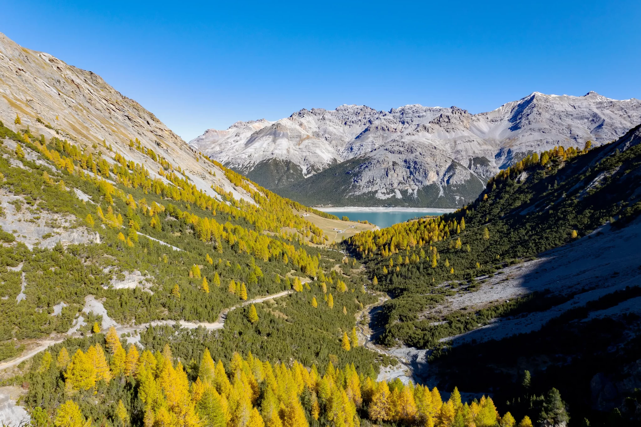 Veduta panoramica di una valle alpina con alberi colorati e montagne sullo sfondo.