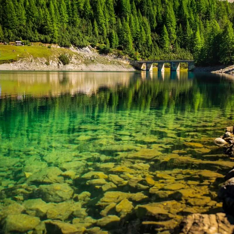 Lago alpino con acqua cristallina e foresta riflessa.